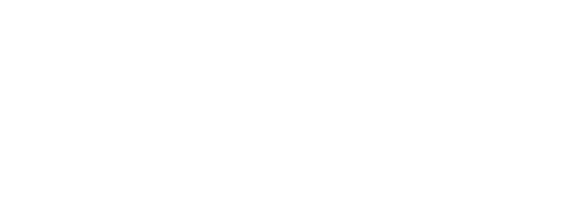 The Next Level Logo